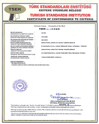 2TSE_BGS_TrapezSac_th